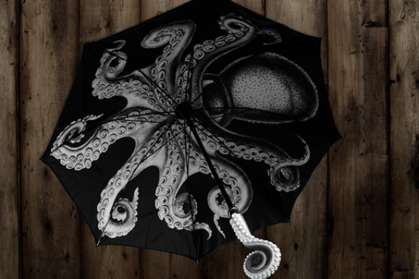 Кракен даркнет store kraken dark link