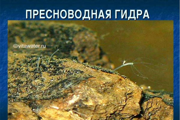 Кракен тор gigageek ru