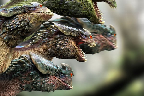 Kraken 18