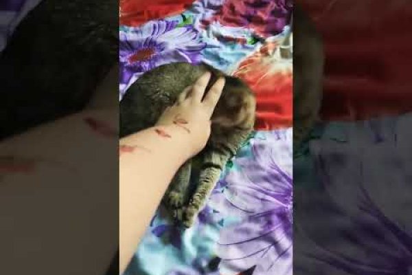 Кракен 12 сайт