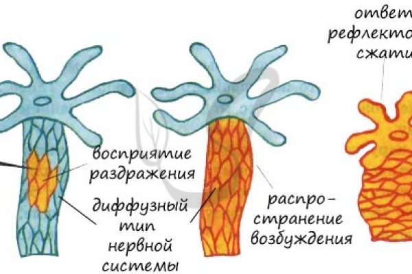 Как пополнять кракен тор