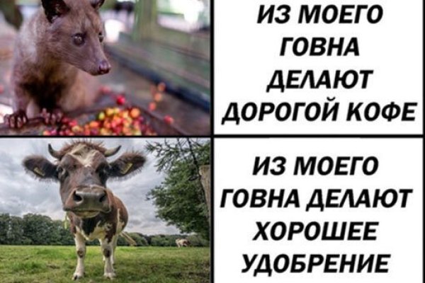 Kraken даркнет рынок